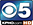 The Hair Angels on CBS 5