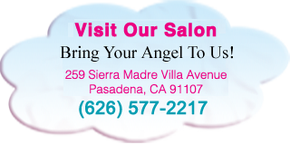 Visit the Hair Angels Salon in Pasadena