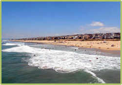 Lice Removal Services in the South Bay